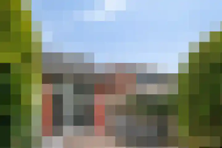 Valkenisseweg 100 Biggekerke thumbnail 33