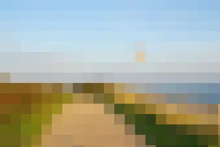 Valkenisseweg 100 Biggekerke thumbnail 34