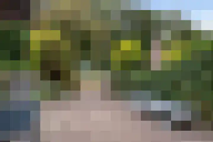Valkenisseweg 100 Biggekerke thumbnail 4