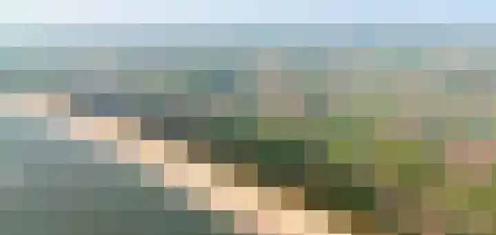 Valkenisseweg 100 Biggekerke thumbnail 6