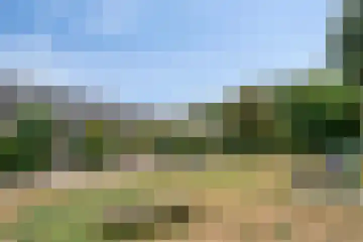Valkenisseweg 100 Biggekerke thumbnail 7