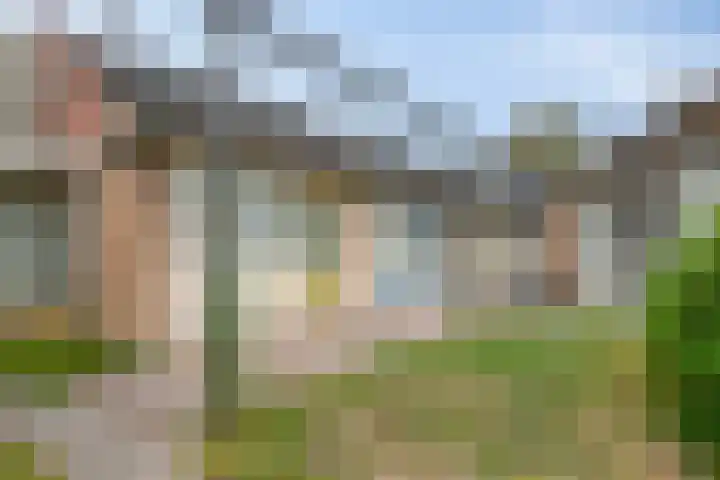 Valkenisseweg 100 Biggekerke thumbnail 8