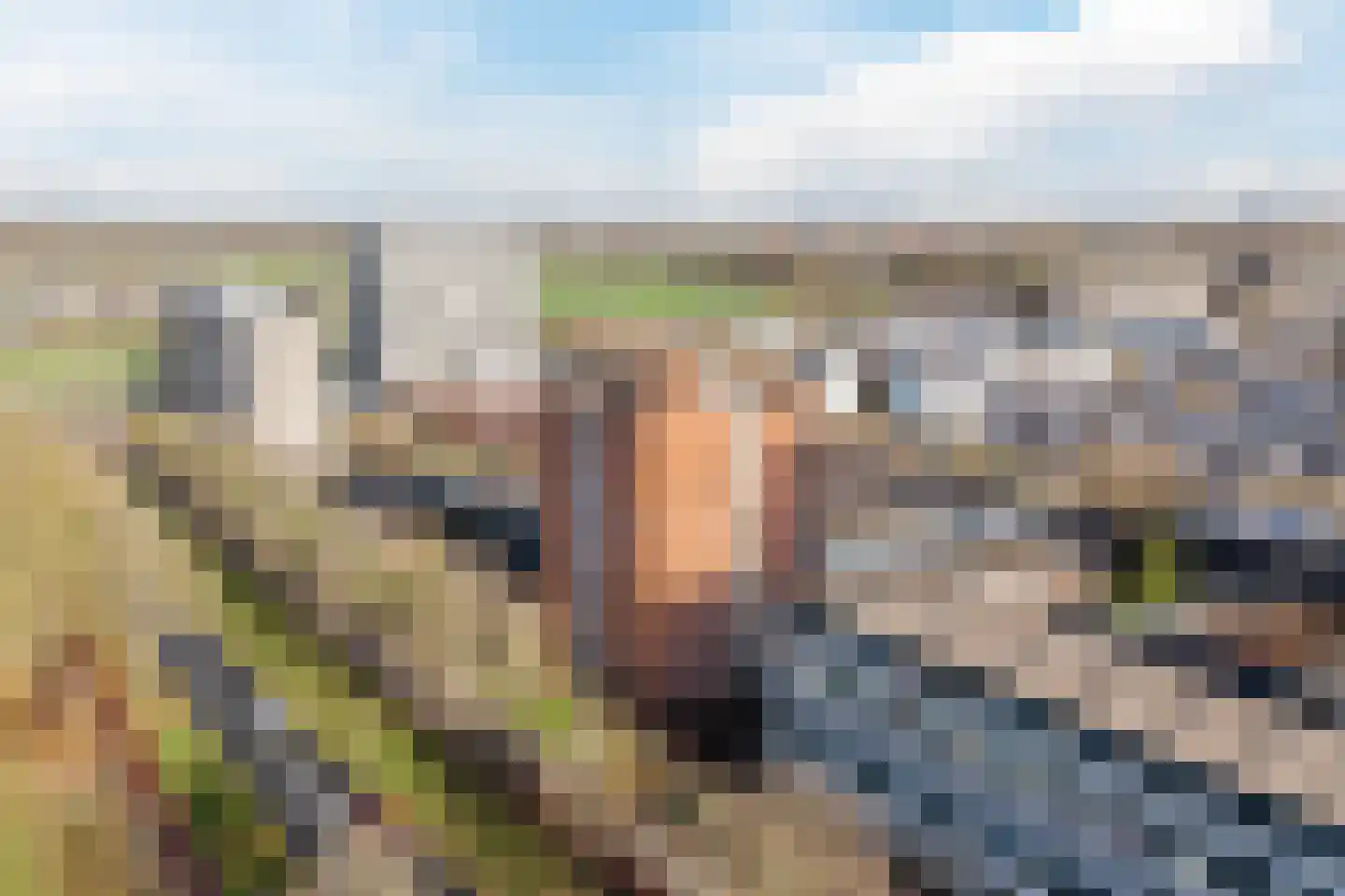 Valkenisseweg 121 Amsterdam thumbnail 22