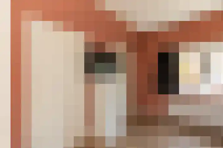 Valkenisseweg 23 Biggekerke thumbnail 17