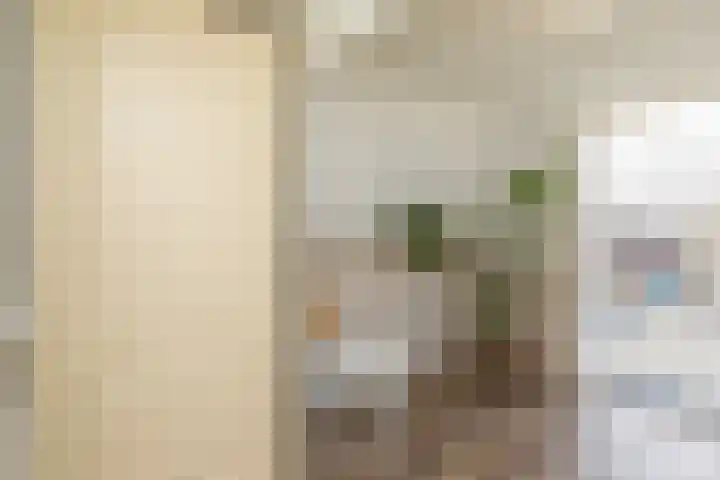 Valkenisseweg 23 Biggekerke thumbnail 19