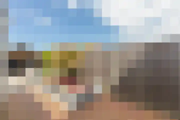 Valkenisseweg 23 Biggekerke thumbnail 27
