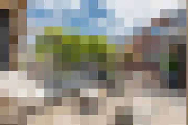 Valkenisseweg 23 Biggekerke thumbnail 28