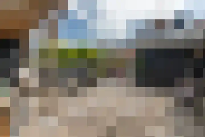 Valkenisseweg 23 Biggekerke thumbnail 30