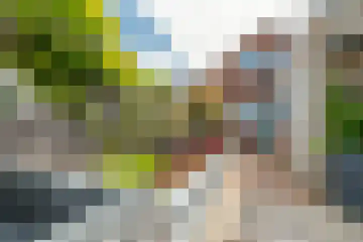 Valkenisseweg 23 Biggekerke thumbnail 31