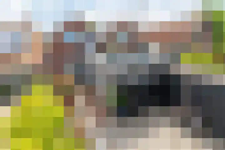 Valkenisseweg 23 Biggekerke thumbnail 32