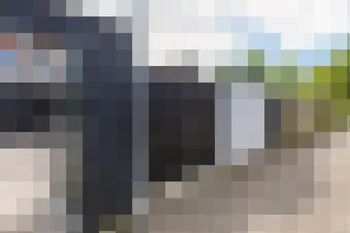 Valkenisseweg 23 Biggekerke thumbnail 33