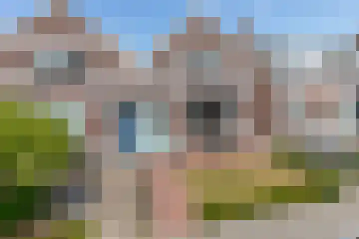 Valkenisseweg 23 Biggekerke thumbnail 34