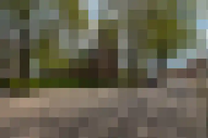 Valkenisseweg 23 Biggekerke thumbnail 36