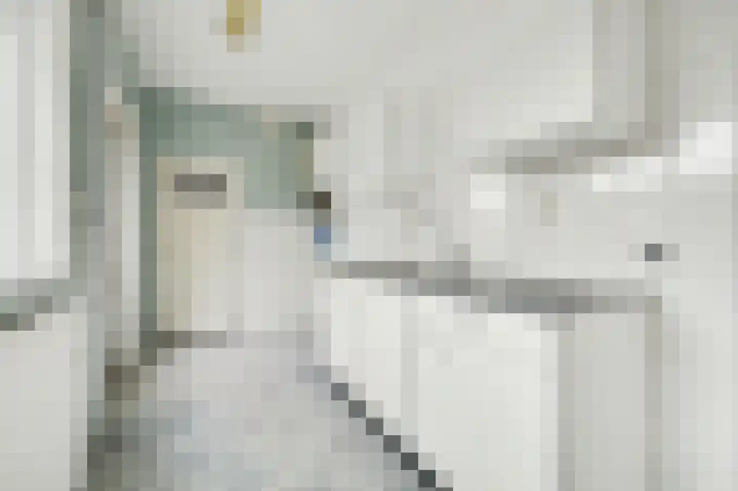 Valkenisseweg 3 Biggekerke thumbnail 16