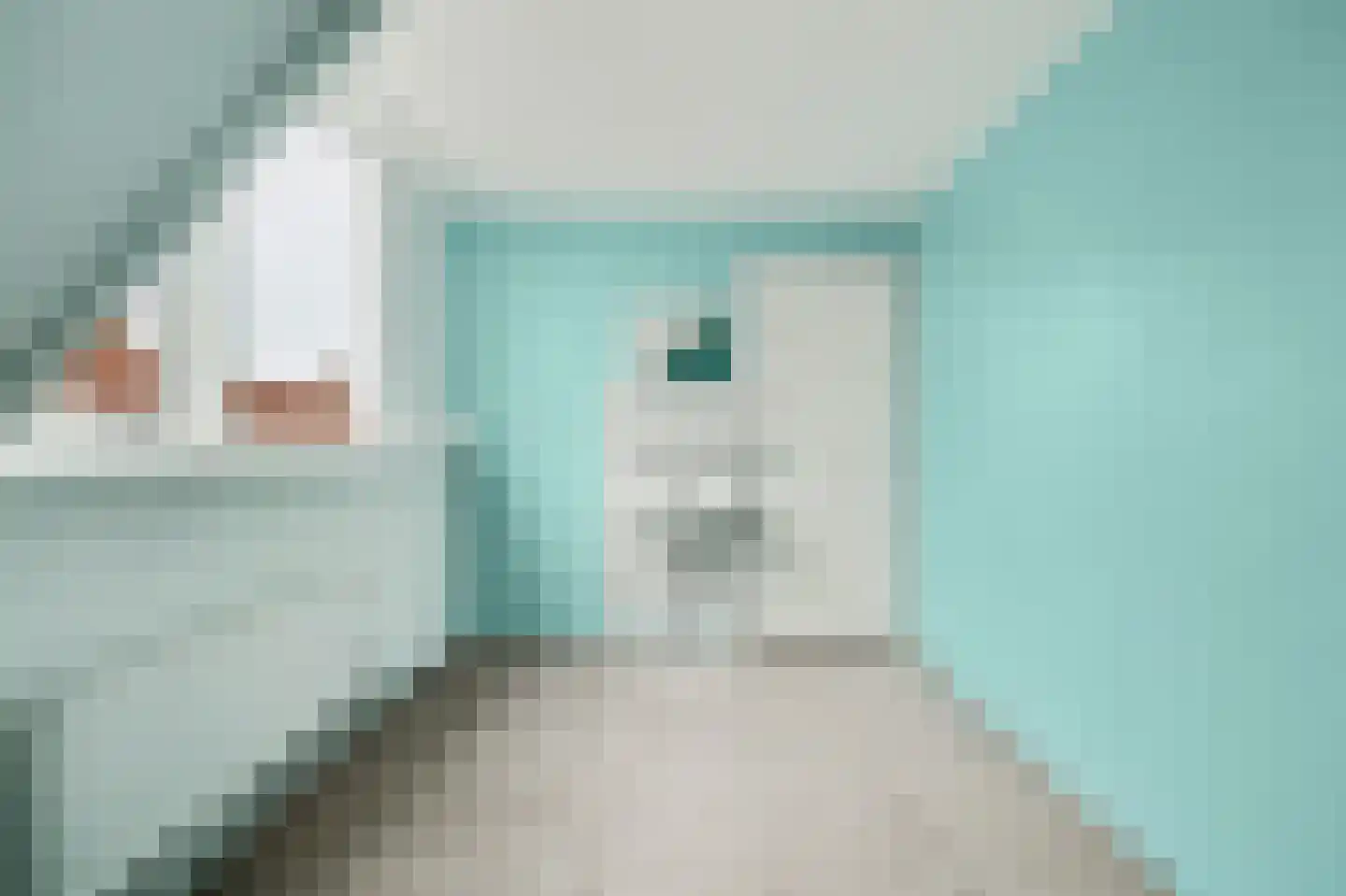 Valkenisseweg 3 Biggekerke thumbnail 28