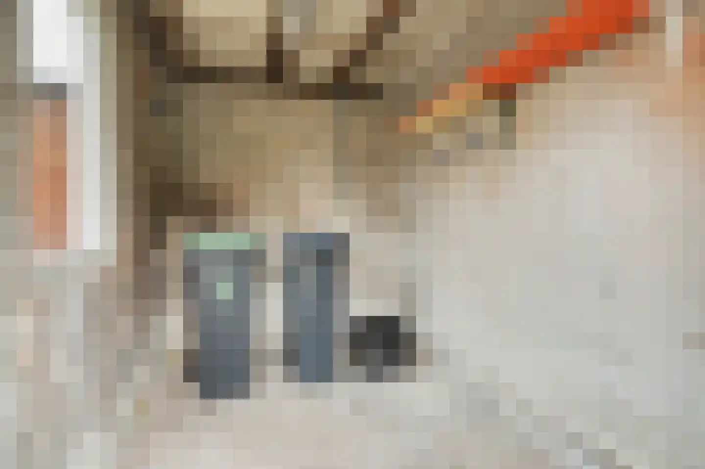 Valkenisseweg 3 Biggekerke thumbnail 35