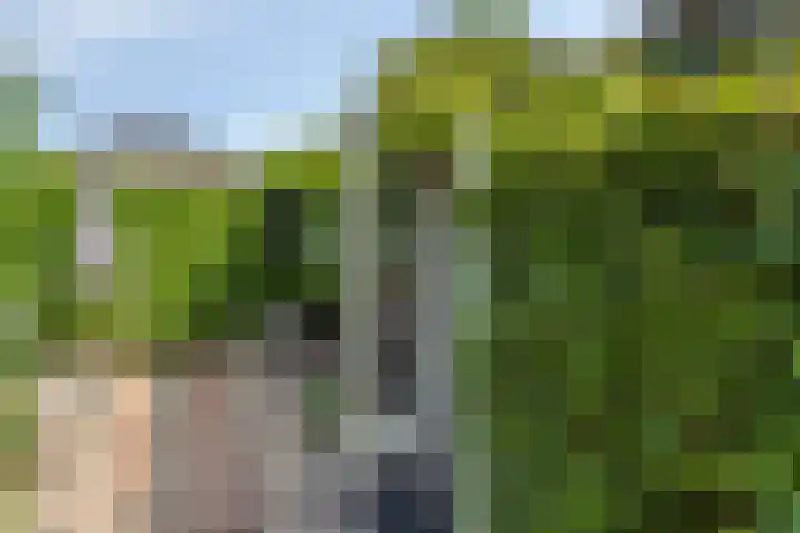 Valkenisseweg 39 Biggekerke thumbnail 14