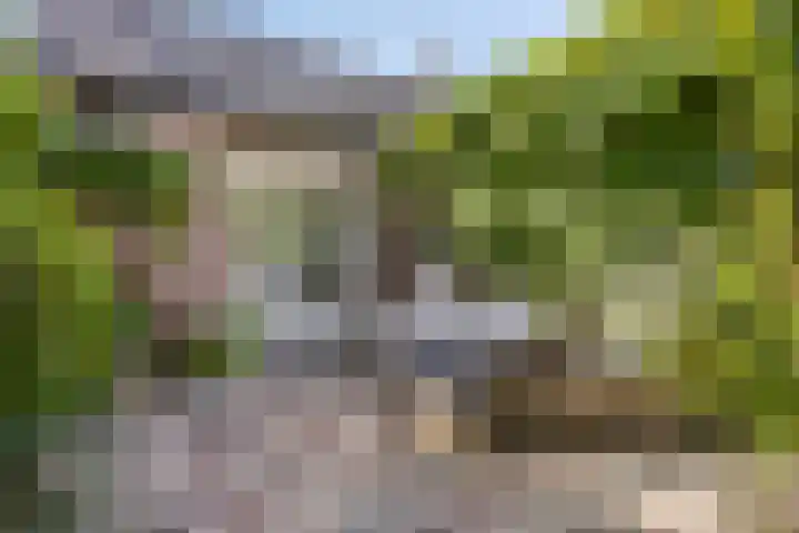 Valkenisseweg 39 Biggekerke thumbnail 15