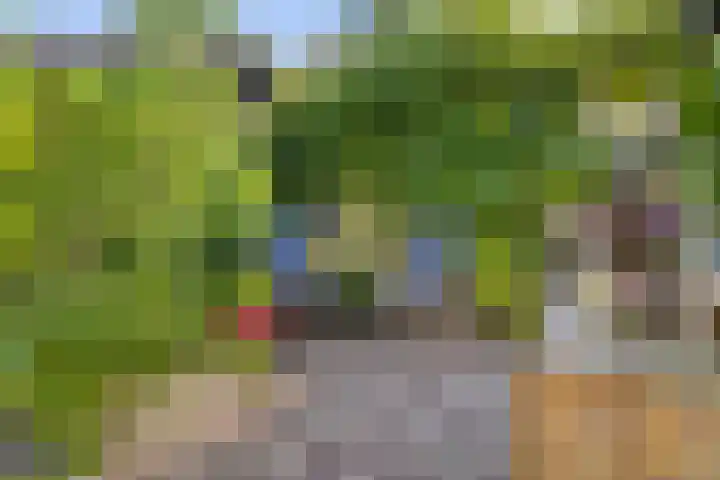 Valkenisseweg 39 Biggekerke thumbnail 20