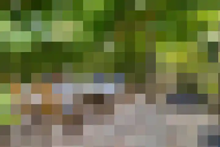 Valkenisseweg 39 Biggekerke thumbnail 26