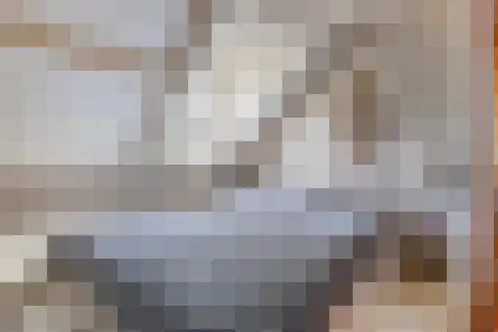 Valkenisseweg 39 Biggekerke thumbnail 31
