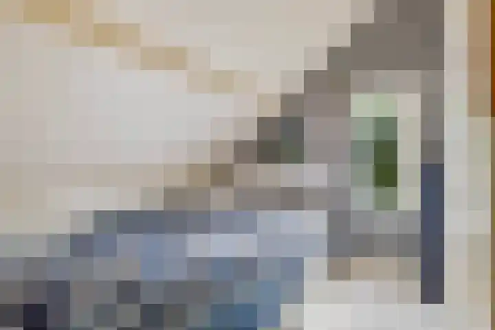 Valkenisseweg 39 Biggekerke thumbnail 33