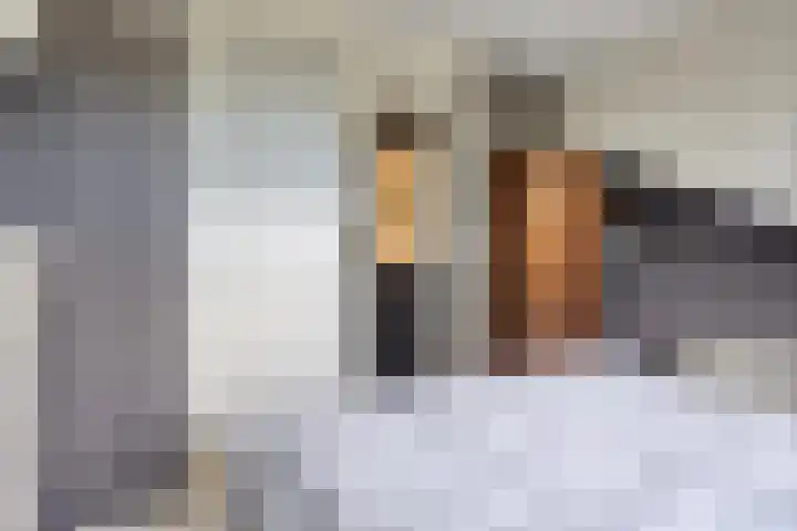 Valkenisseweg 39 Biggekerke thumbnail 37