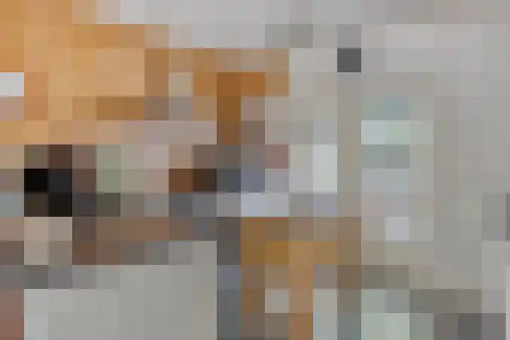 Valkenisseweg 39 Biggekerke thumbnail 4