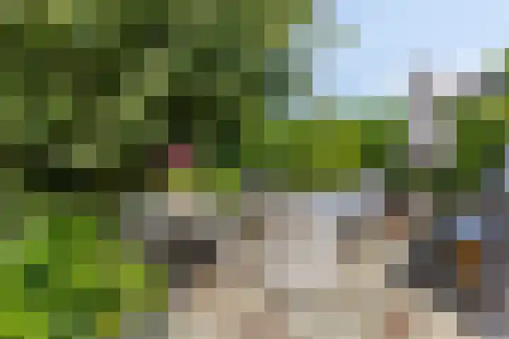 Valkenisseweg 39 Biggekerke thumbnail 42