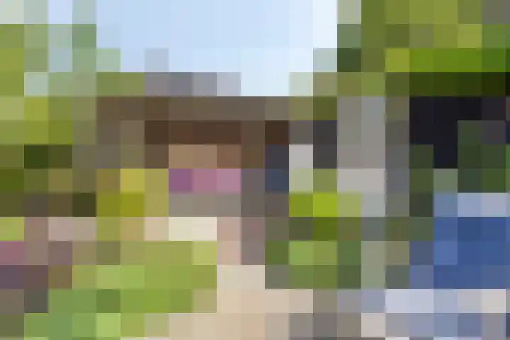 Valkenisseweg 39 Biggekerke thumbnail 43