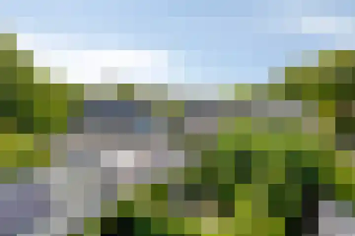 Valkenisseweg 39 Biggekerke thumbnail 46
