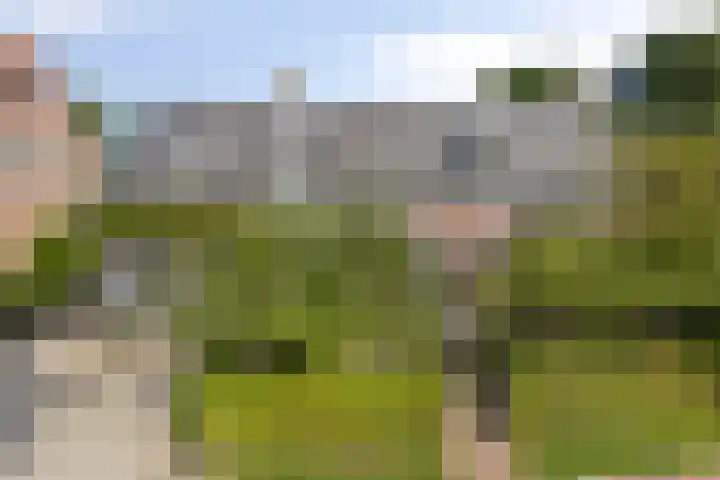 Valkenisseweg 39 Biggekerke thumbnail 47