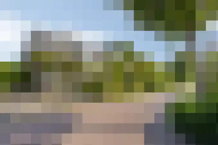 Valkenisseweg 39 Biggekerke thumbnail 48