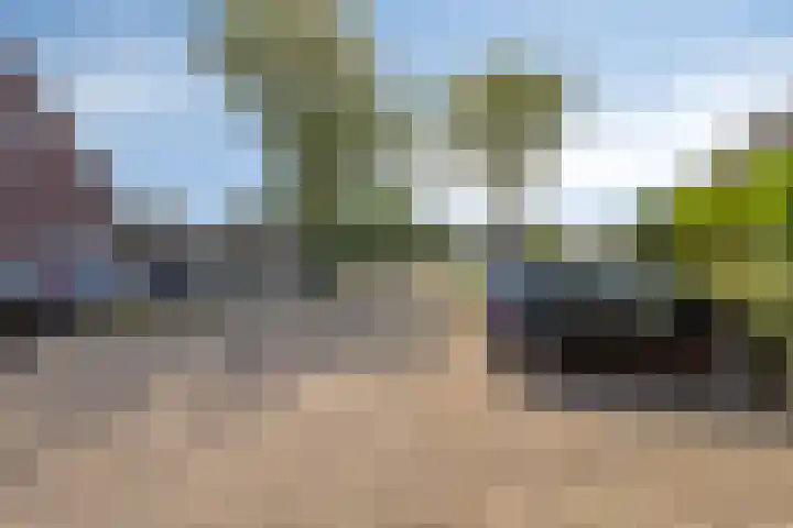 Valkenisseweg 39 Biggekerke thumbnail 49
