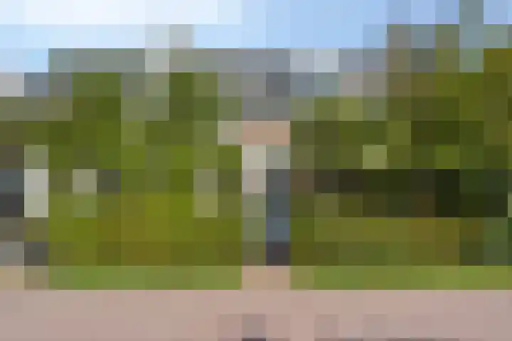 Valkenisseweg 39 Biggekerke thumbnail 5