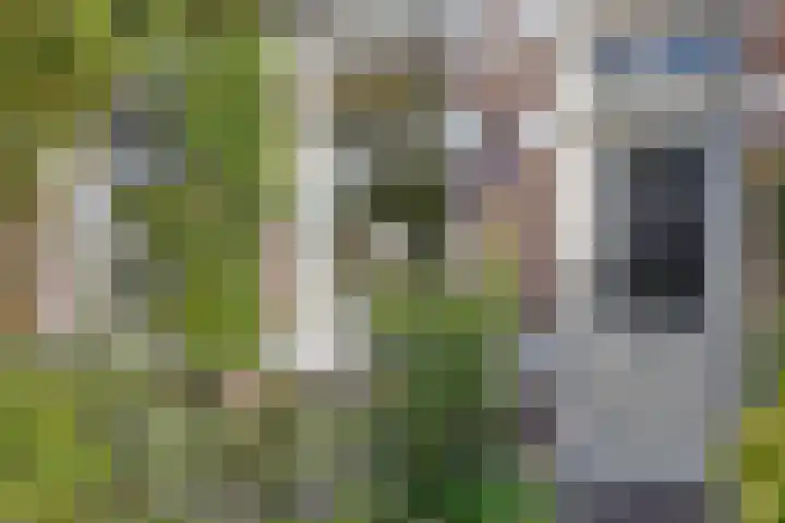 Valkenisseweg 39 Biggekerke thumbnail 6