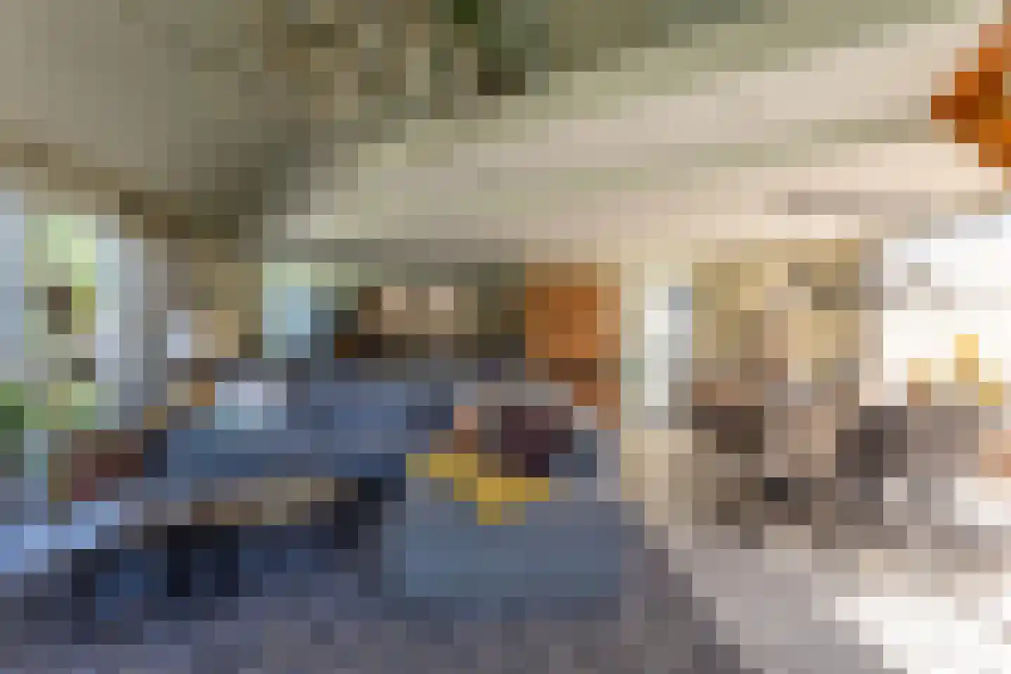 Valkenisseweg 49 C Biggekerke thumbnail 12