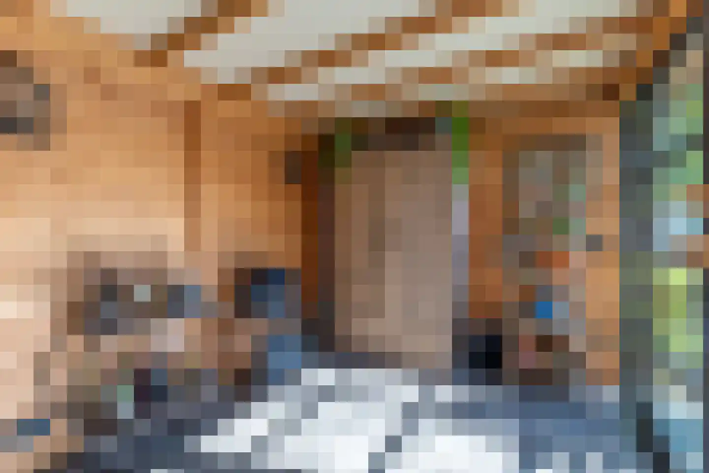 Valkenisseweg 49 C Biggekerke thumbnail 34