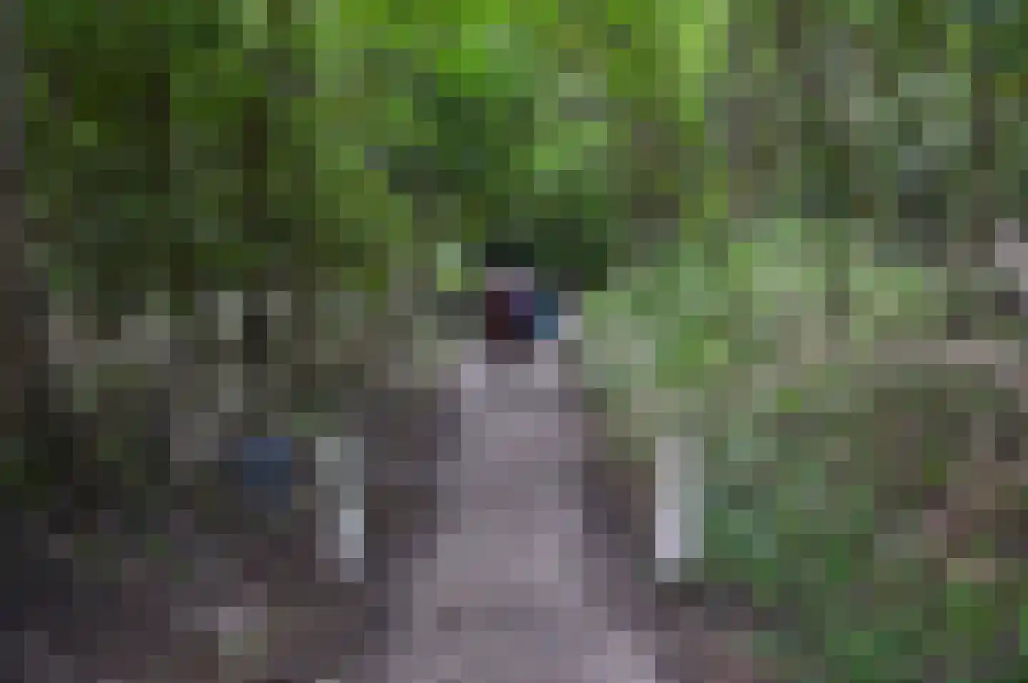 Valkenisseweg 49 C Biggekerke thumbnail 48