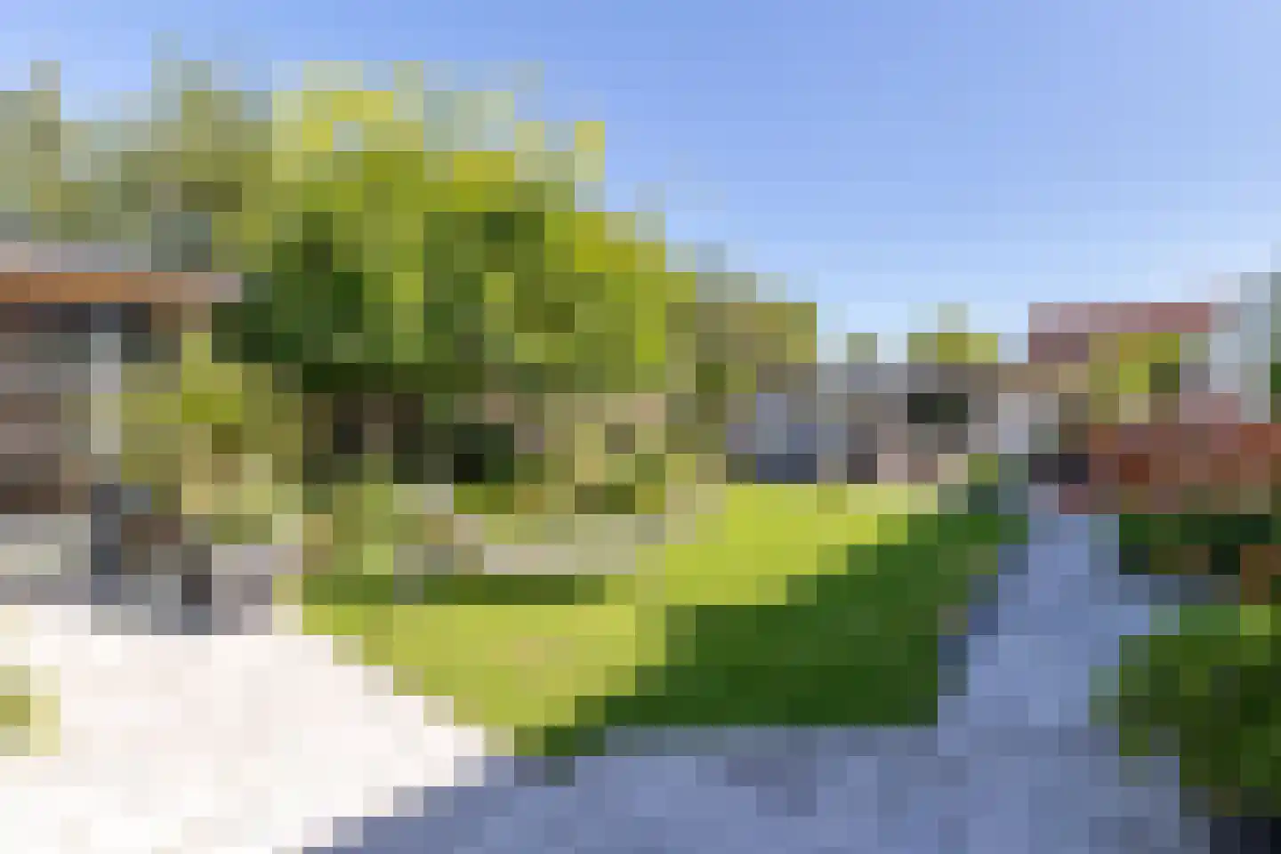 Valkenisseweg 49 C Biggekerke thumbnail 8