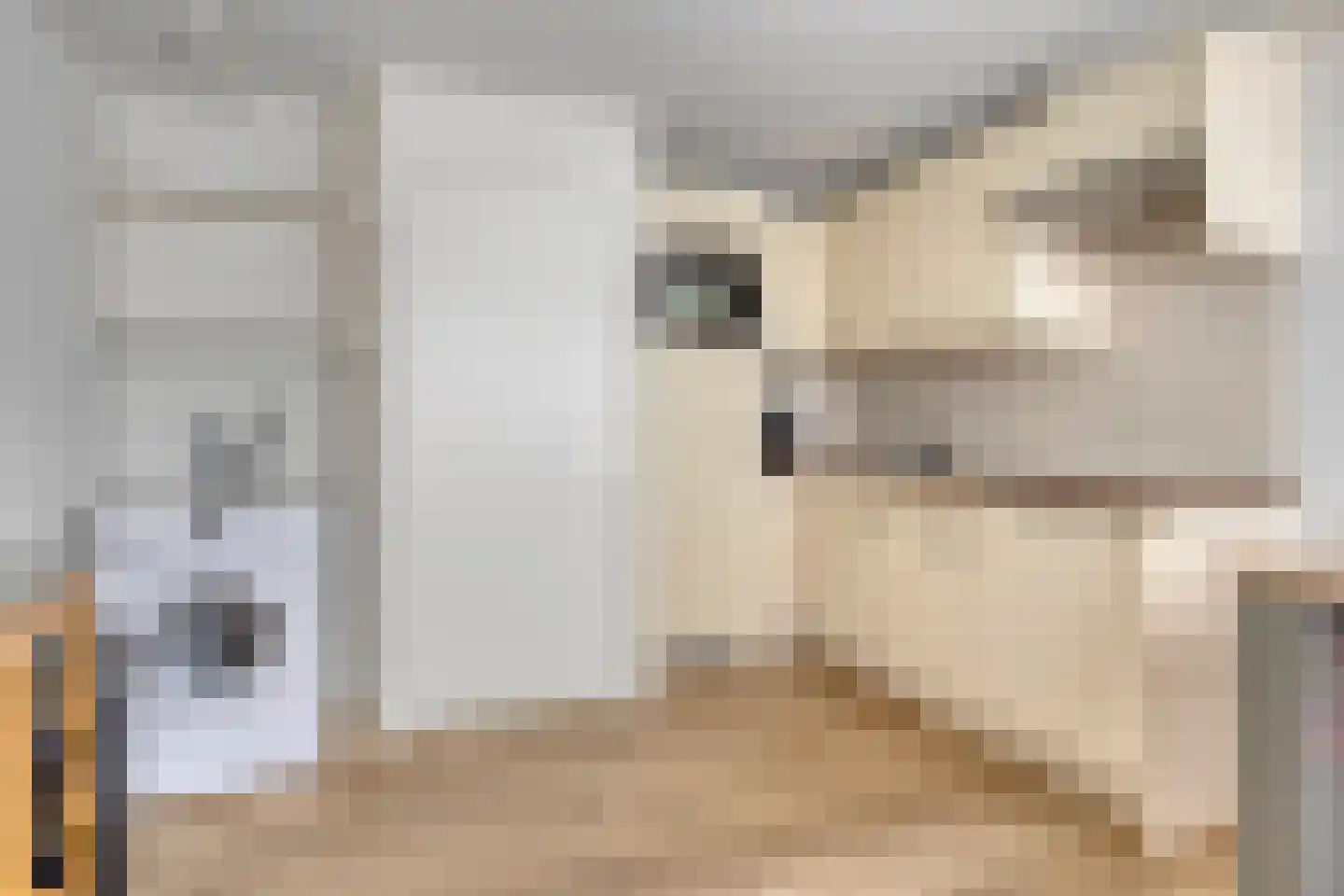 Valkenisseweg 86 Biggekerke thumbnail 16
