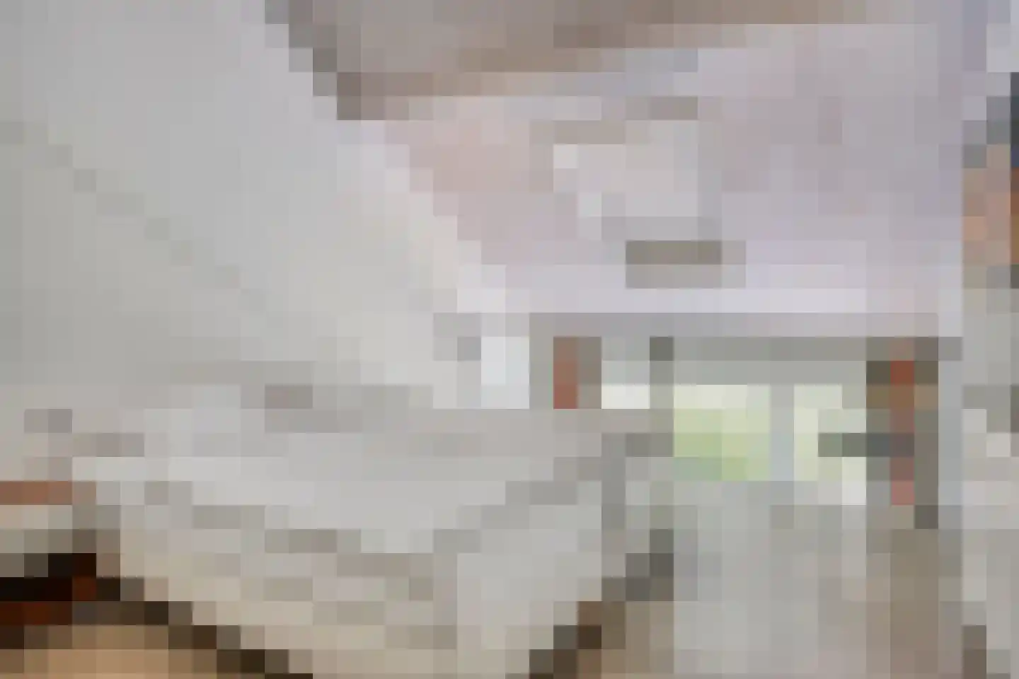 Valkenisseweg 86 Biggekerke thumbnail 19