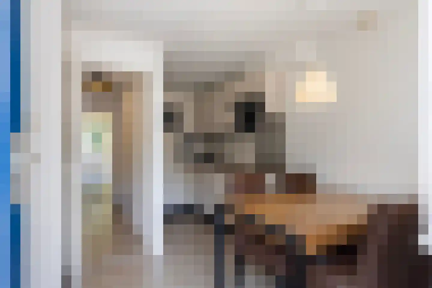 Valkenisseweg 96 Biggekerke thumbnail 17