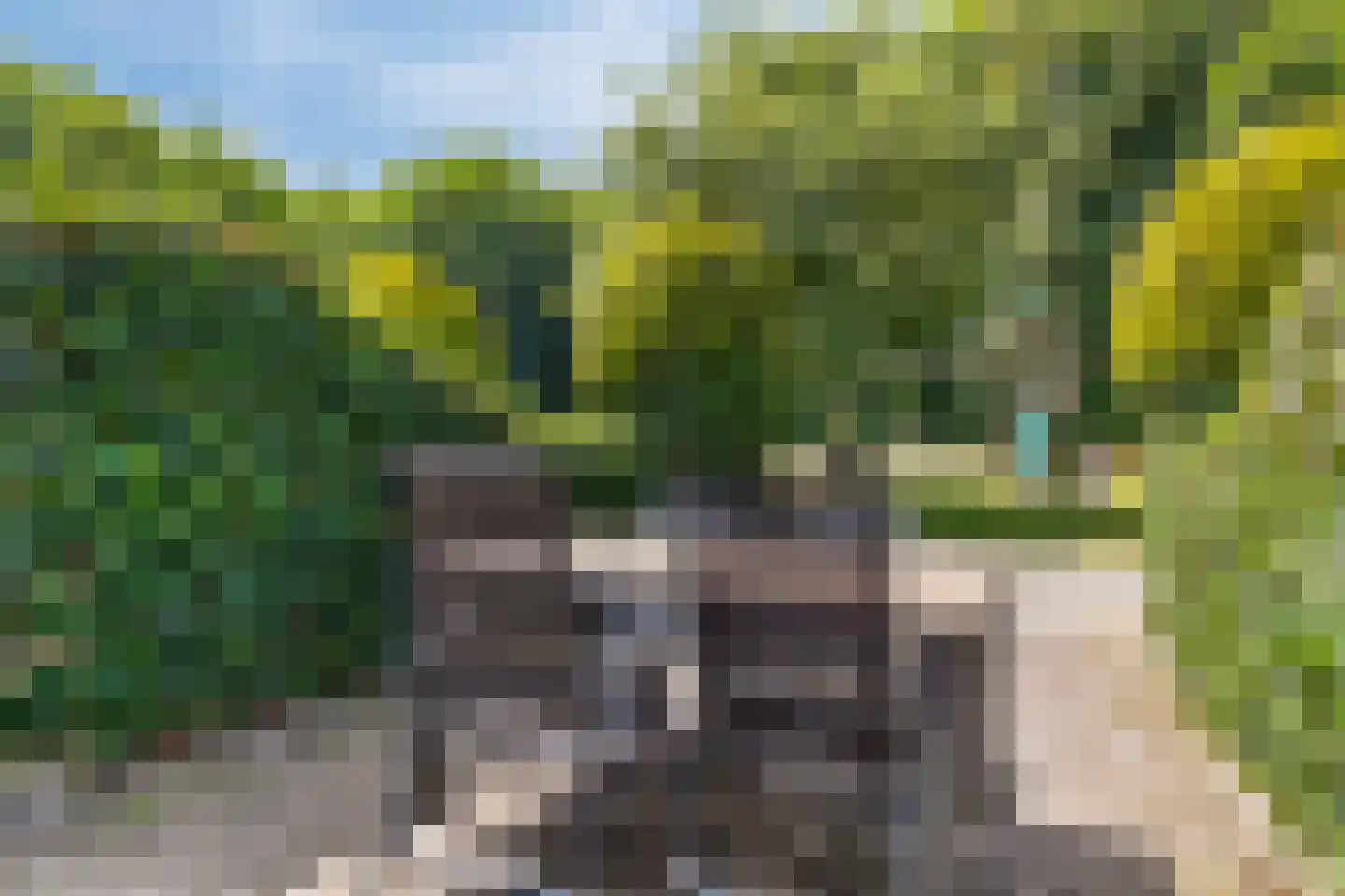 Valkenisseweg 96 Biggekerke thumbnail 37