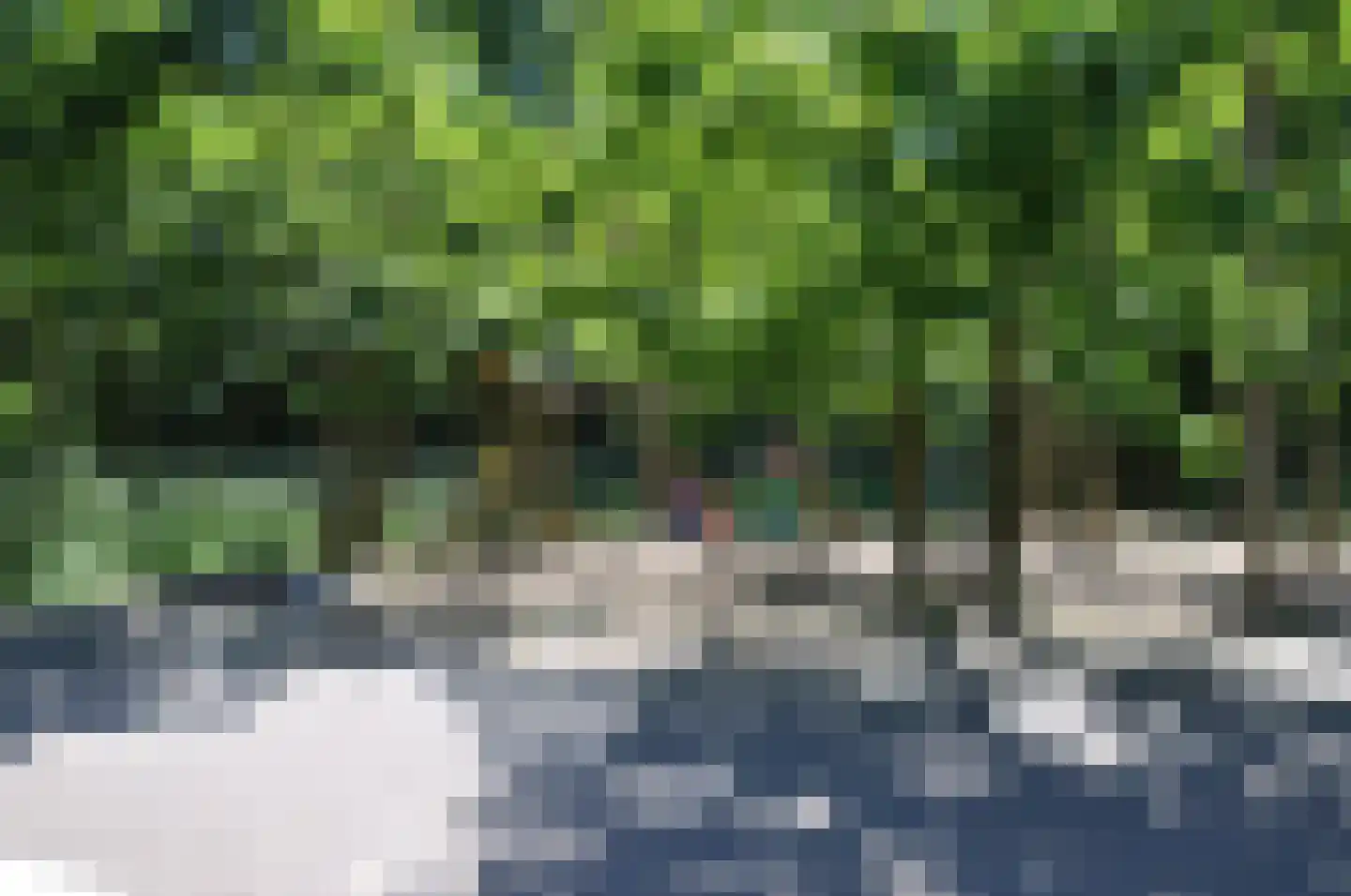 Valkenisseweg 96 Biggekerke thumbnail 52