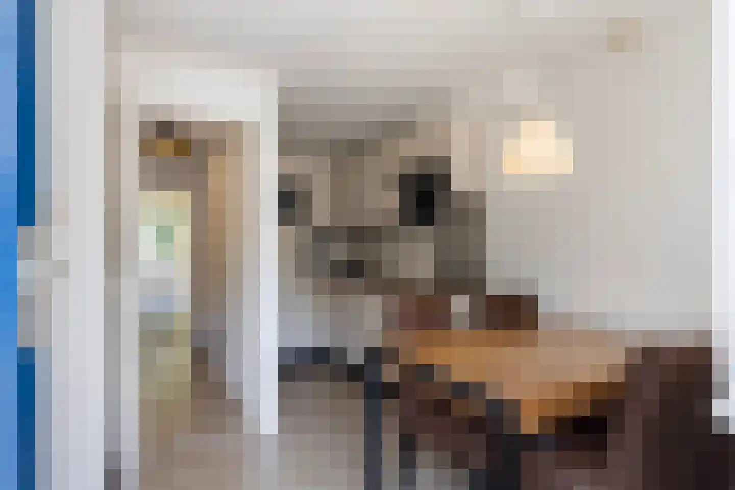 Valkenisseweg 98 Biggekerke thumbnail 19