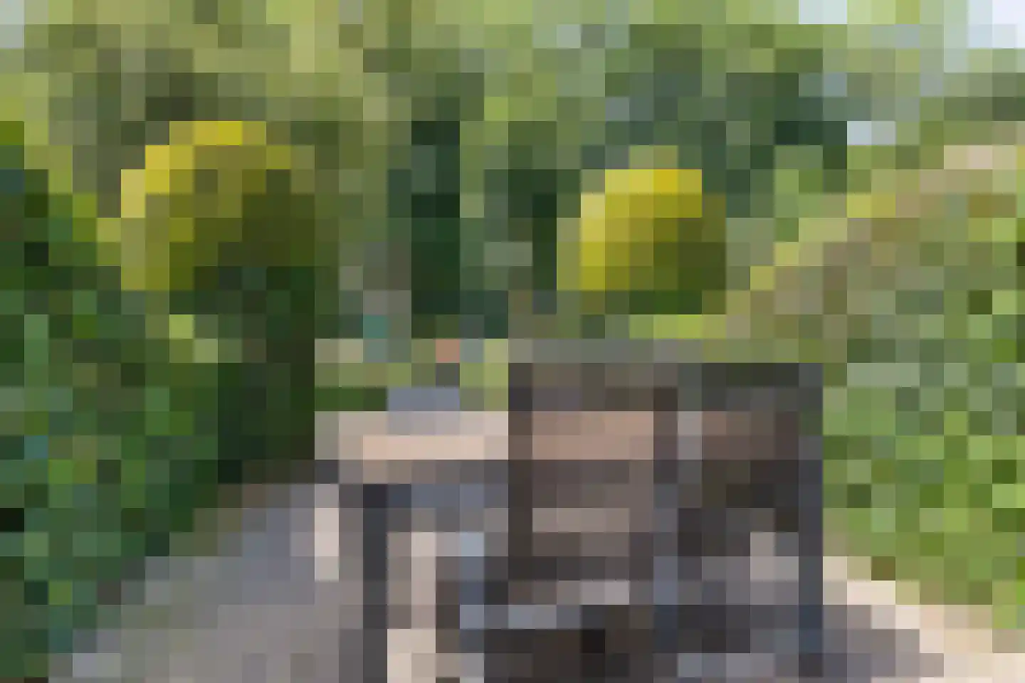 Valkenisseweg 98 Biggekerke thumbnail 40