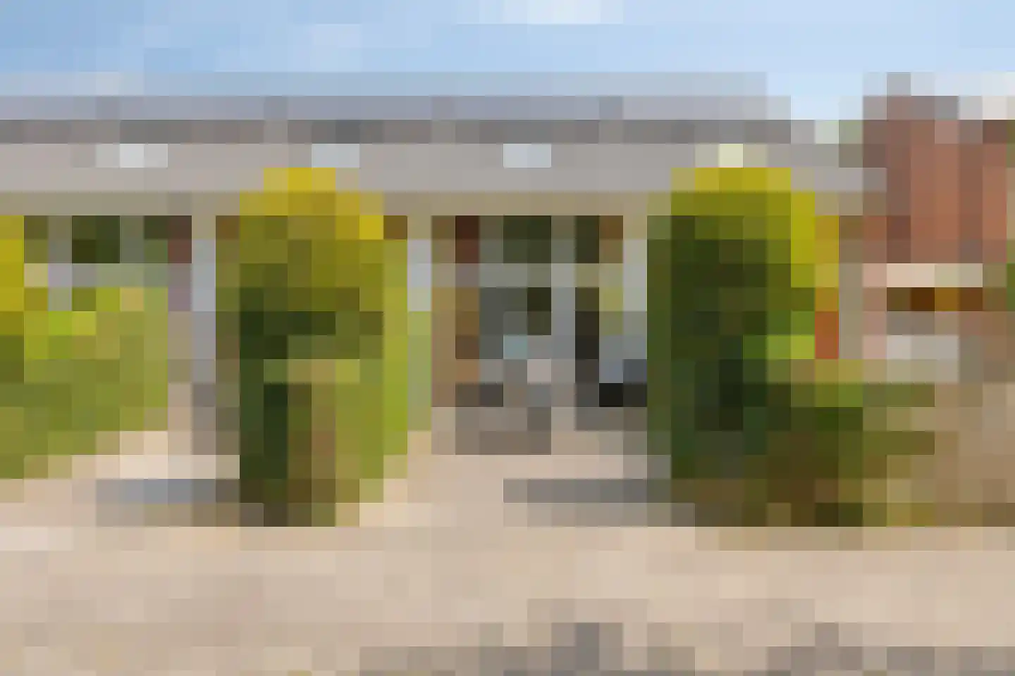 Valkenisseweg 98 Biggekerke thumbnail 42