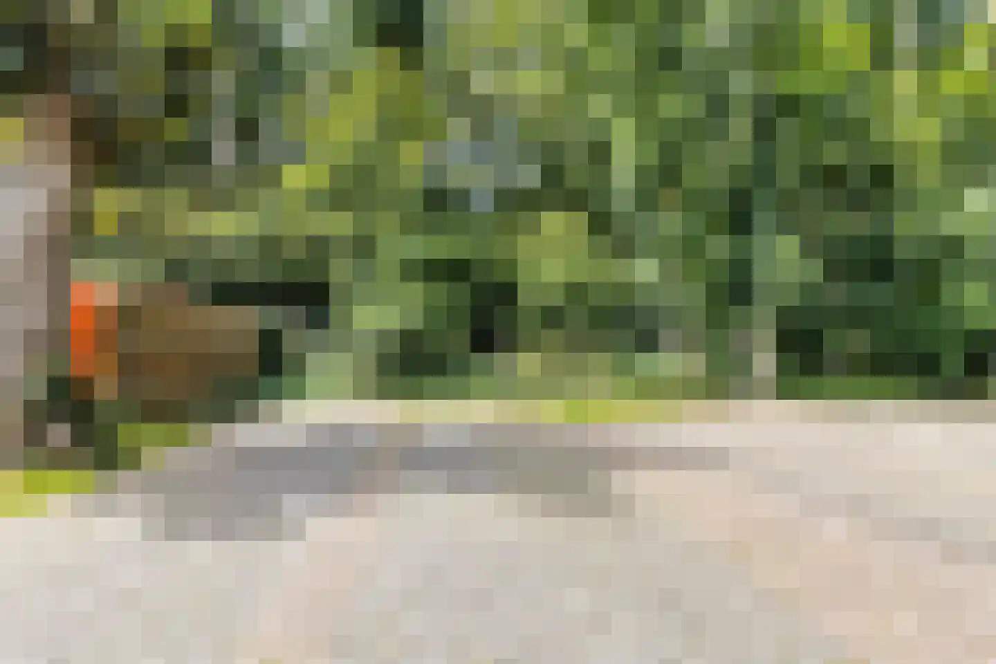 Valkenisseweg 98 Biggekerke thumbnail 8