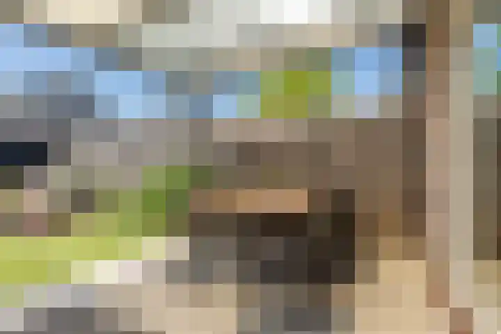 Valkenkamp 104 Maarssen thumbnail 10